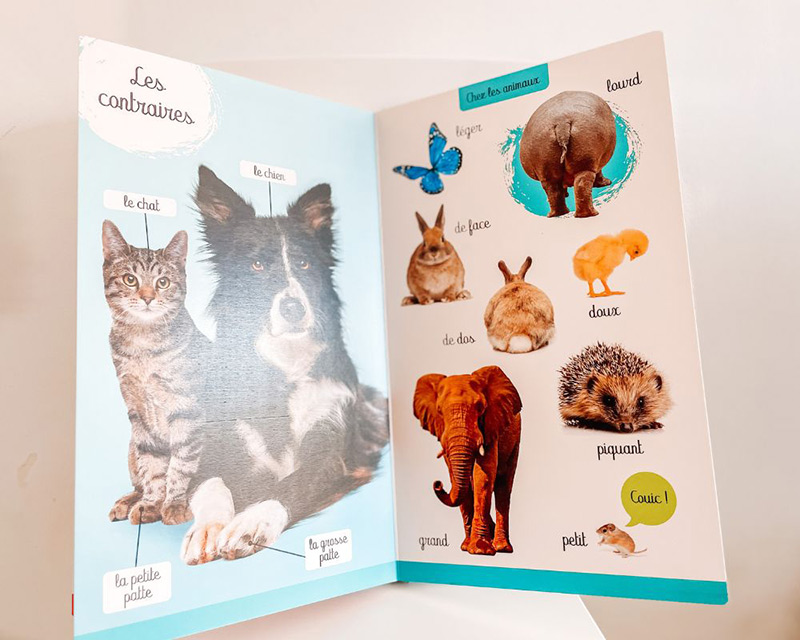Jeu éducatif Clementoni Peppa Pig - English Words Pour Apprendre L'anglais Dès 3 Ans, 26 Cartes Illustrées